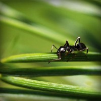 /album/atrtevimem/photolia-a05-jpg/