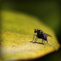 /album/atrtevimem/photolia-a07-jpg/