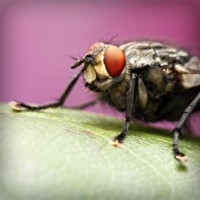 /album/atrtevimem/photolia-a08-jpg/